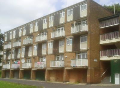 Front view