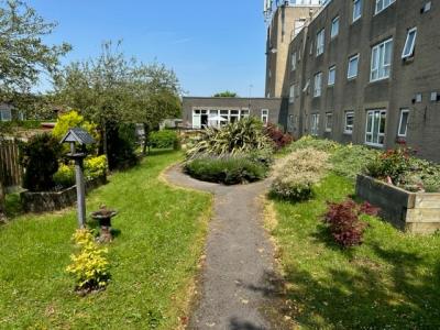 Communal Garden