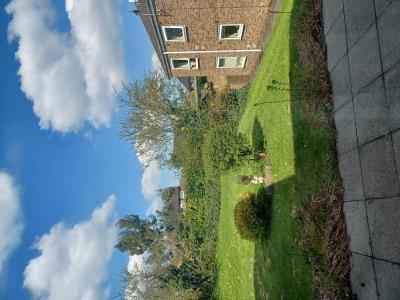 Communal Garden