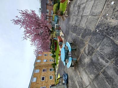 Communal Garden