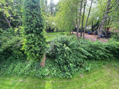 Sunny Bank Communal Gardens