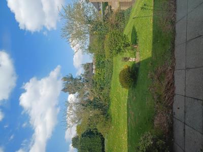 Communal Garden