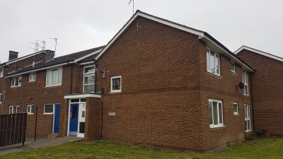 Front view