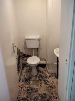 Downstairs Toilet