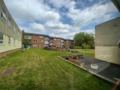 Communal Garden