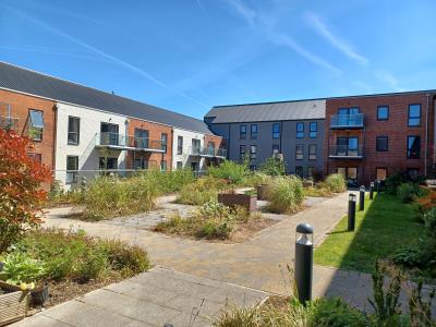 Communal Garden