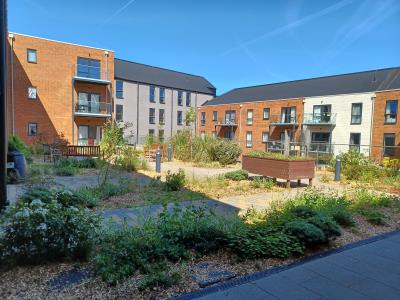 Communal Garden