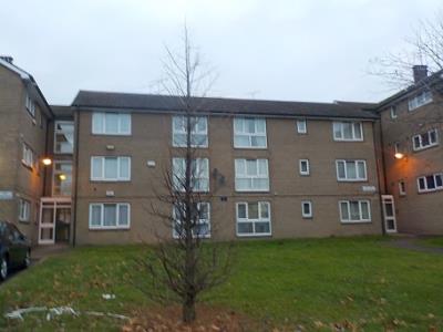 Front view