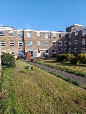 Communal Garden