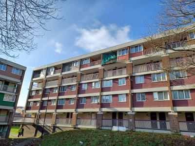 Front view