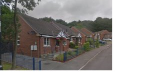 Buckwood view