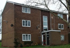 Front view