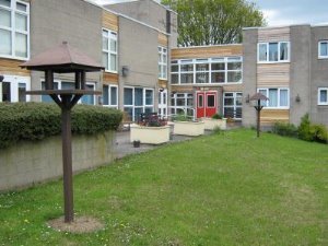Front view
