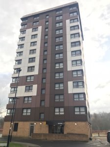 Front view