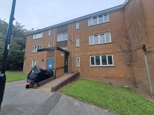 Front view