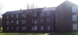 Front view