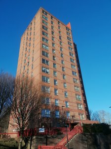 Front view